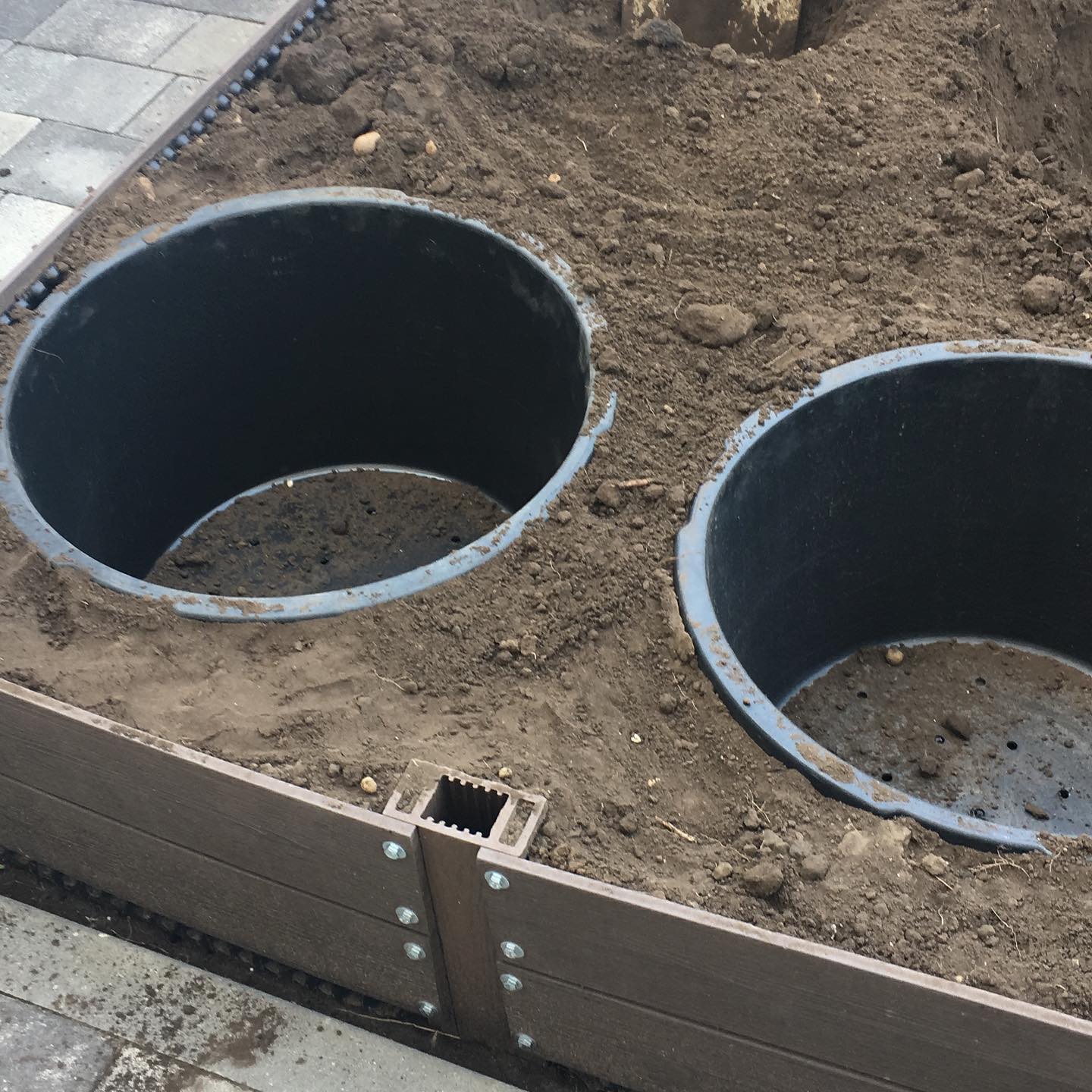 Голубика приехала. Сажаем. — кадр 3