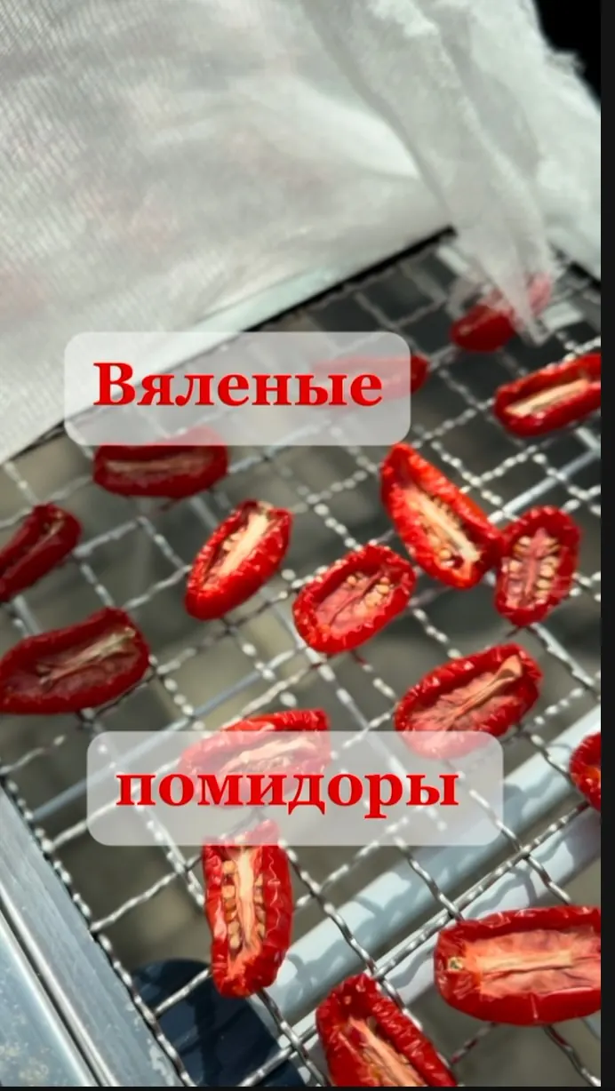 Вяленые помидоры на солнце