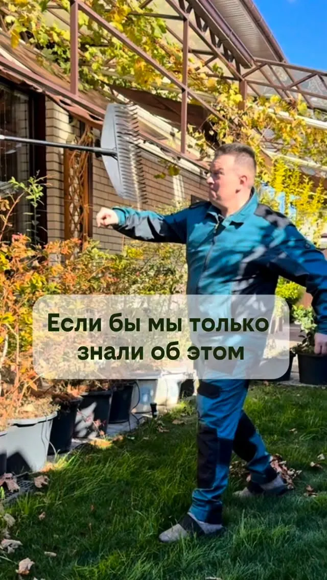 Газон: красиво в мечтах, вечный труд в реальности
