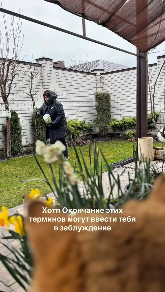 Пять шагов ухода за газоном — и порядок важен